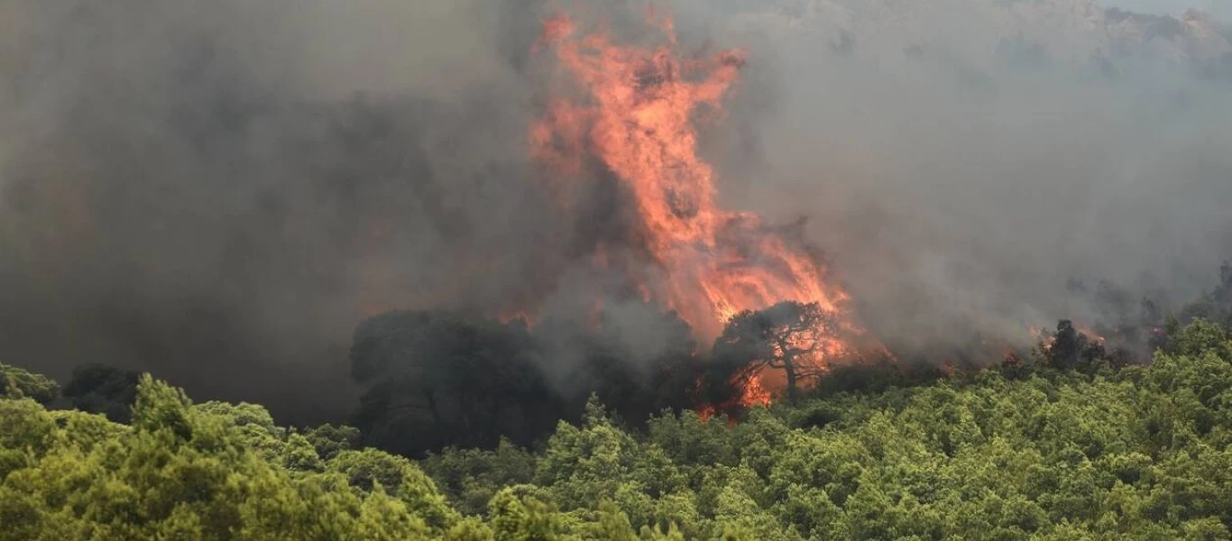 Πυρκαγιά ξέσπασε σε δασική έκταση στη Μεγαλόπολη Αρκαδίας